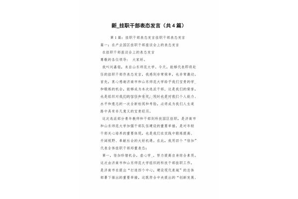 挂职表态发言