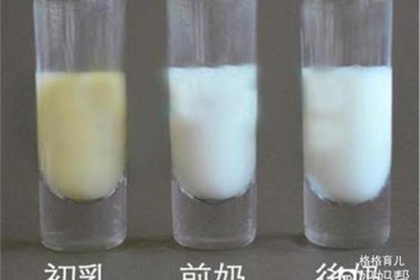 初乳的营养价值