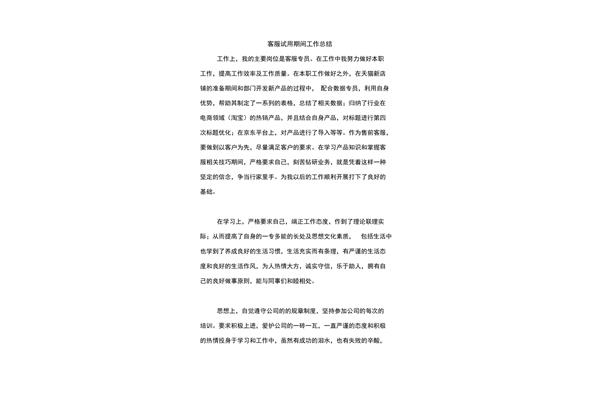 试用期间工作总结