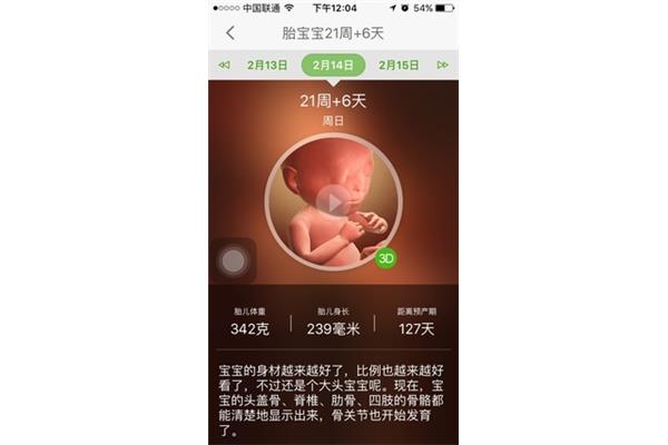 21周是几个月