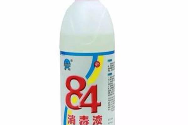 分数的意义教案