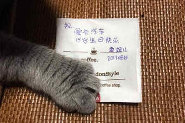 她们的故事