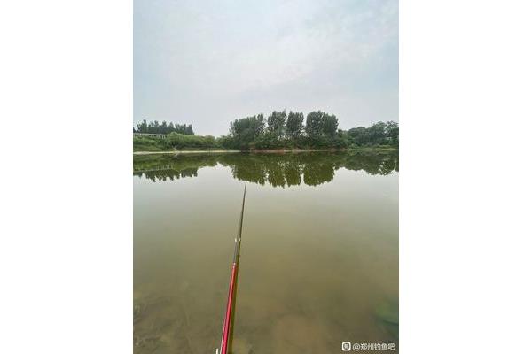 白夜行深度解析