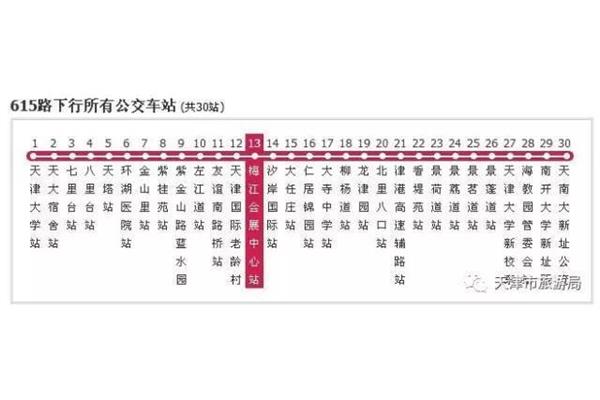r语言是什么