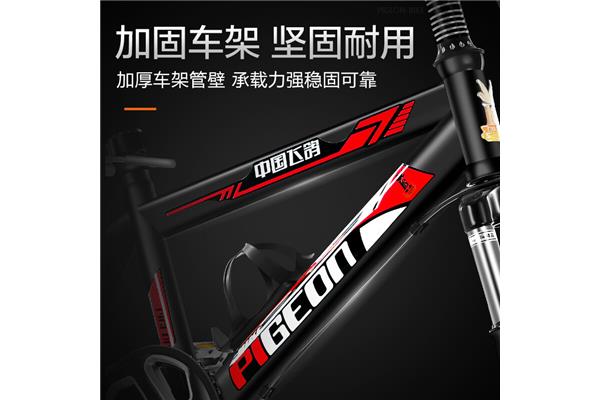 同乐什么意思