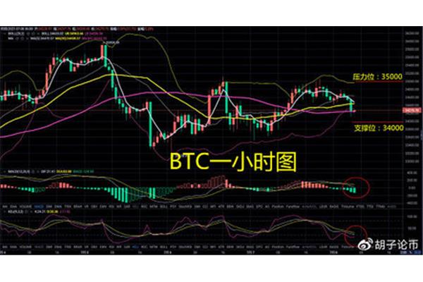 职称考试报名