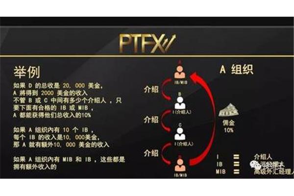 启动子的作用