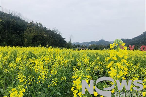 学期总结500字