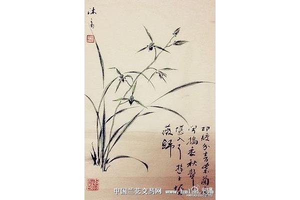 初一作文范文