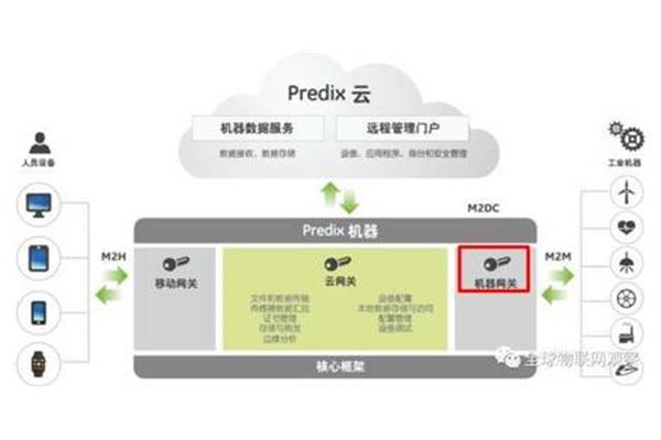 离子对试剂