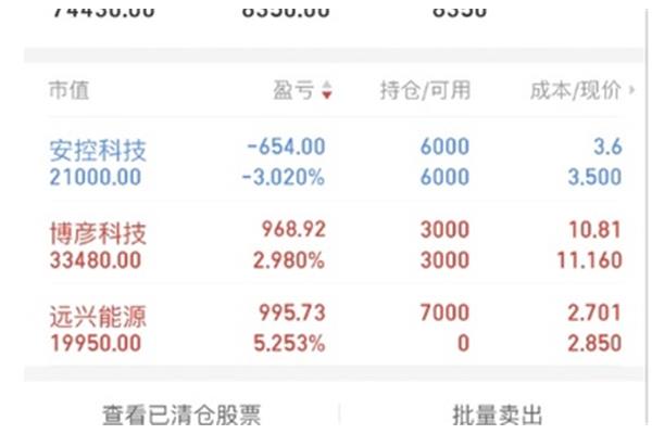 理论是什么