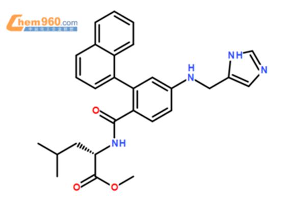 活动策划案怎么写