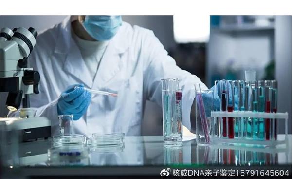 手机无线连接电脑