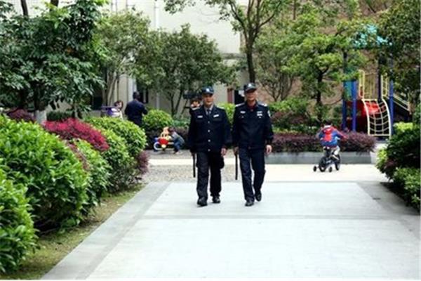 枫树上的喜鹊教案
