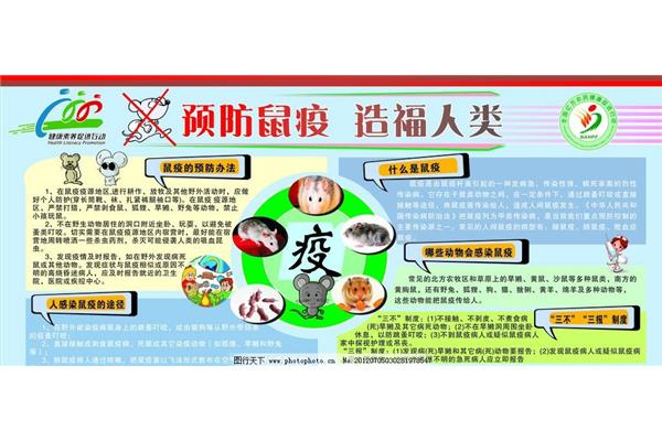 关于孝心的故事