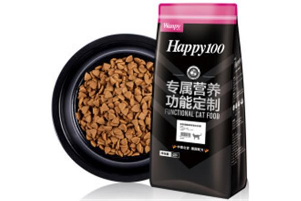 对外汉语教案