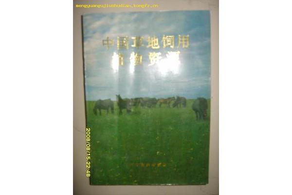 幸福英语怎么说