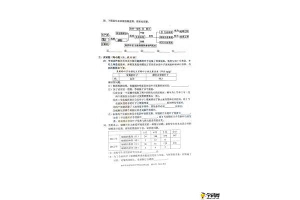 龙城飞将是谁