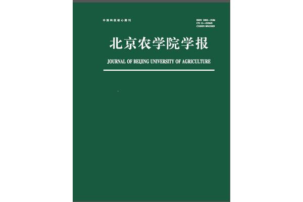 飞鹰计划女演员