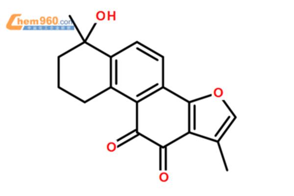 历史教育考试研究