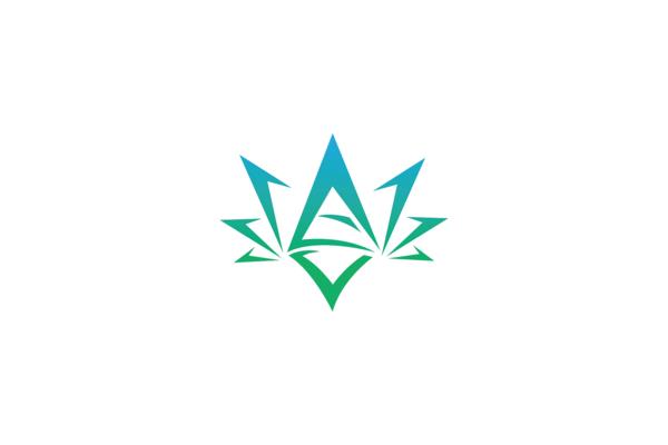 热值的定义