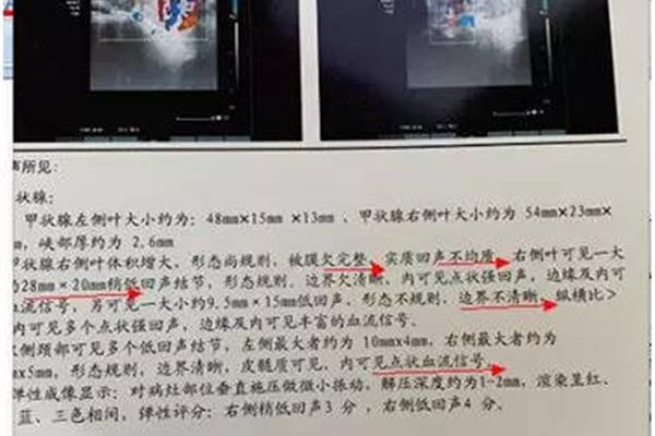 学习的励志句子
