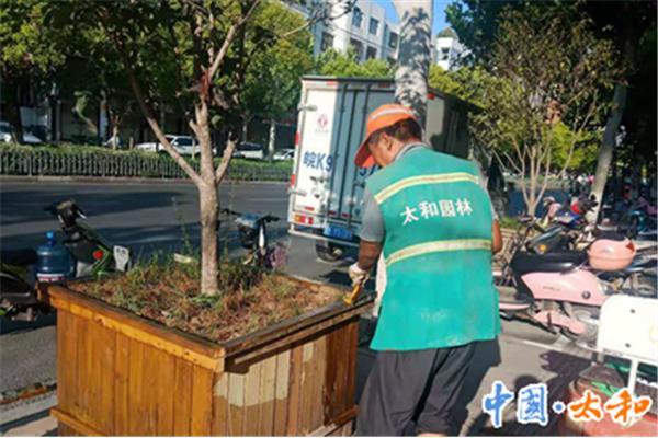 中班区域活动