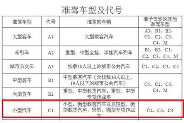 女士发型设计网