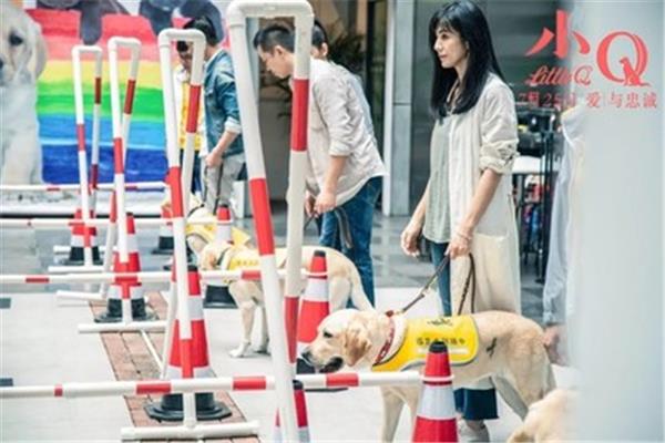 唐山大地震观后感