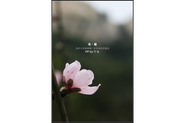 番茄可以生吃吗