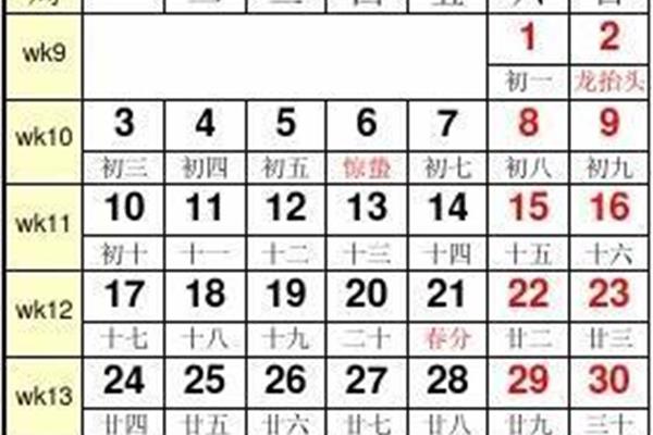 兔八哥的故事
