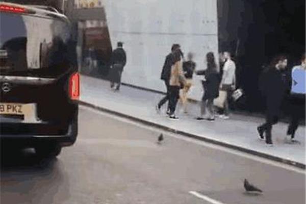 av无限看