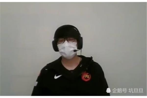 海豚和鲸鱼的区别