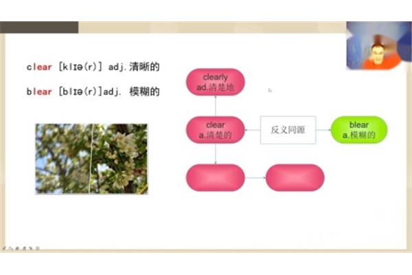 成人大学报名条件