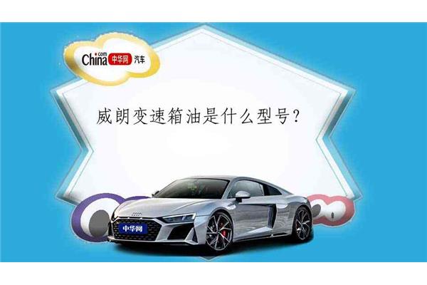 公司组建方案