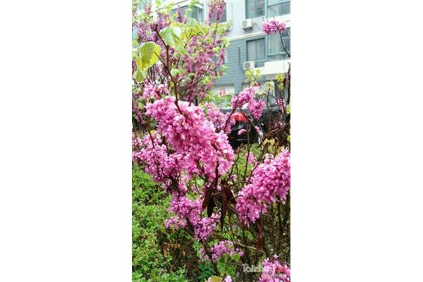 破茧成蝶的故事