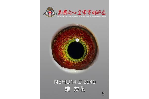 昭昭是什么意思