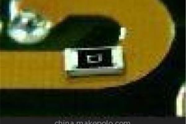 我是一条鱼