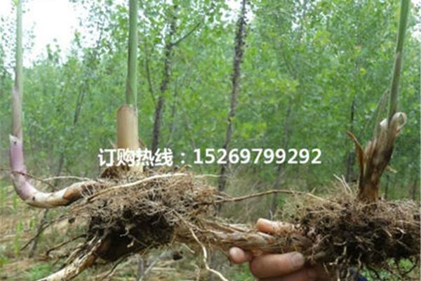 邮箱格式大全