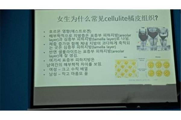 学会放下的感悟