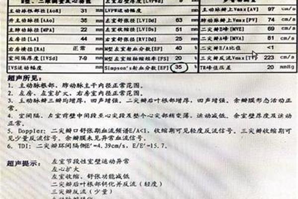 努力的励志句子