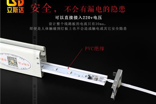 珍惜作文500字