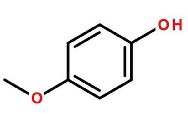 企业培训方案