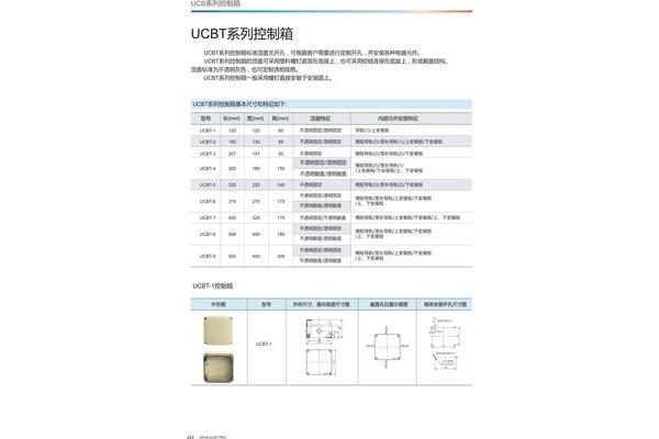 认识你自己作文