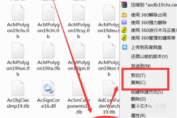 我们没有明天