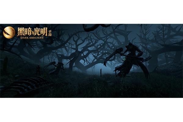 去越南怎么去