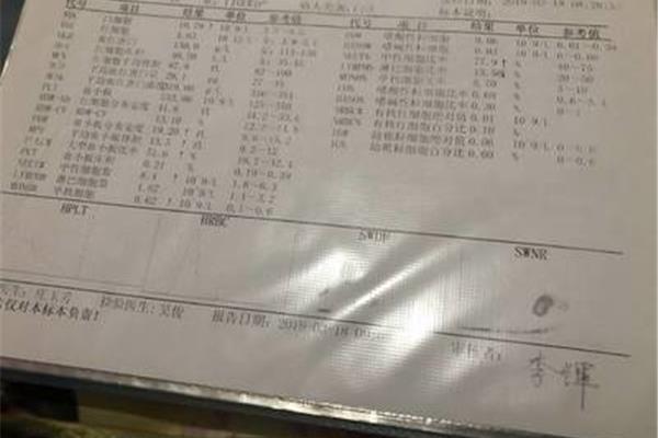 俄顷风定云墨色