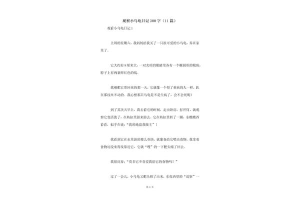 小乌龟的观察日记