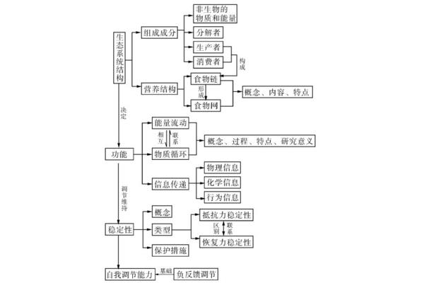生态系统的概念