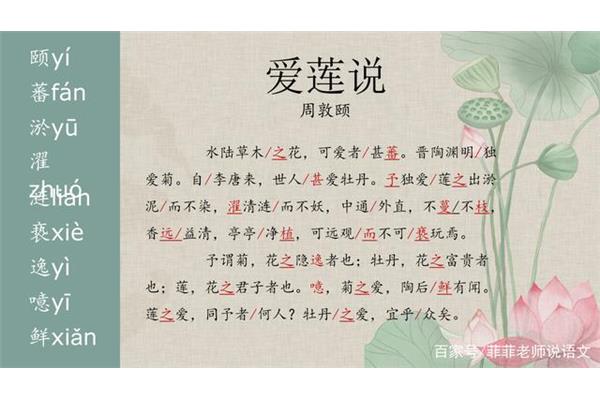 爱莲说笔记